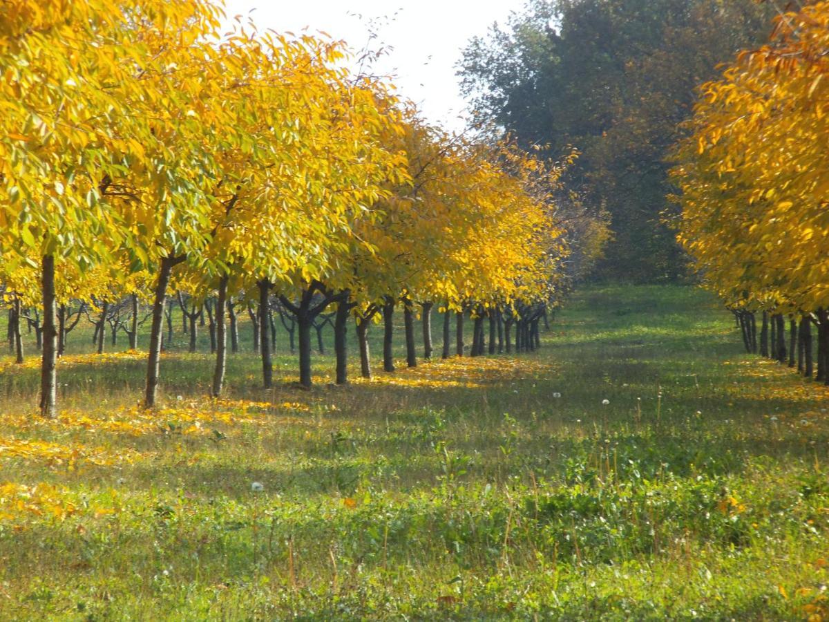 Alloggio Cantalupo Formigine Dış mekan fotoğraf